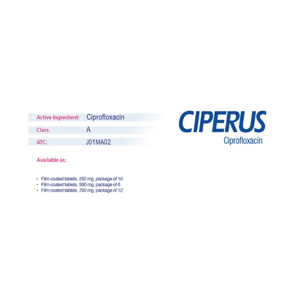 Ciperus